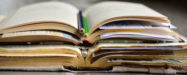 Bildung